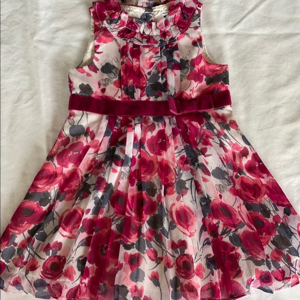 Janie & Jack Fall Floral Chiffon Dress